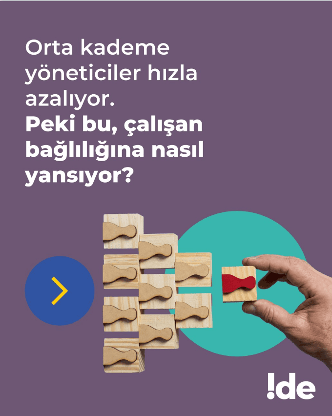 IDE Consulting project visual 2