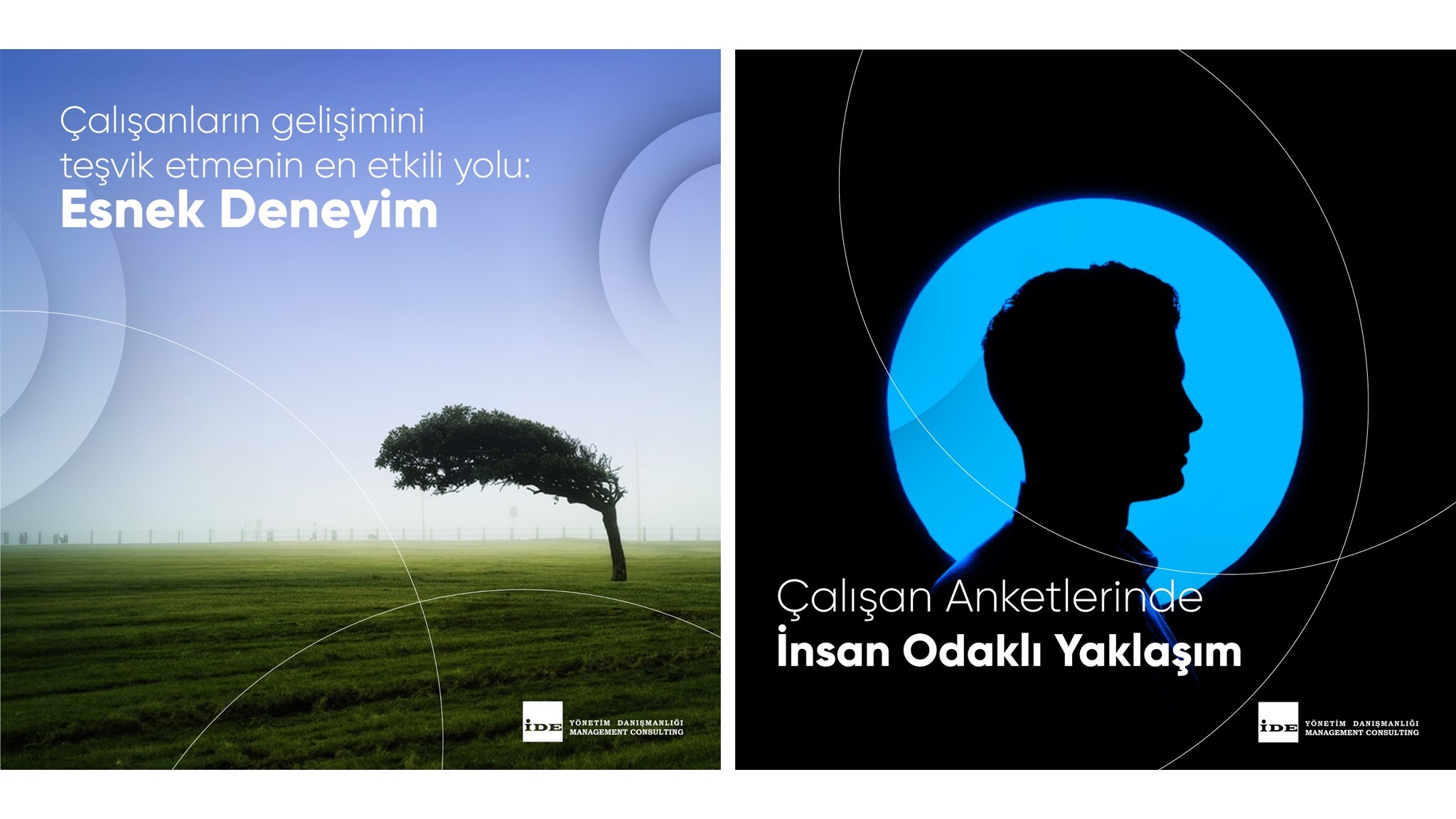 IDE Consulting project visual 4