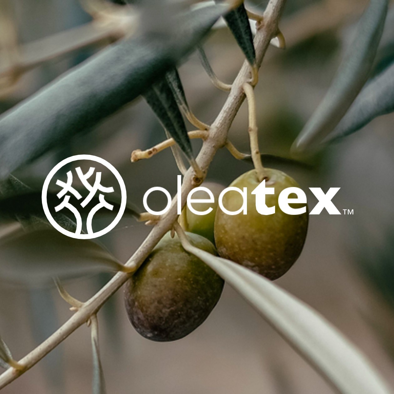 Oleatex project visual 1