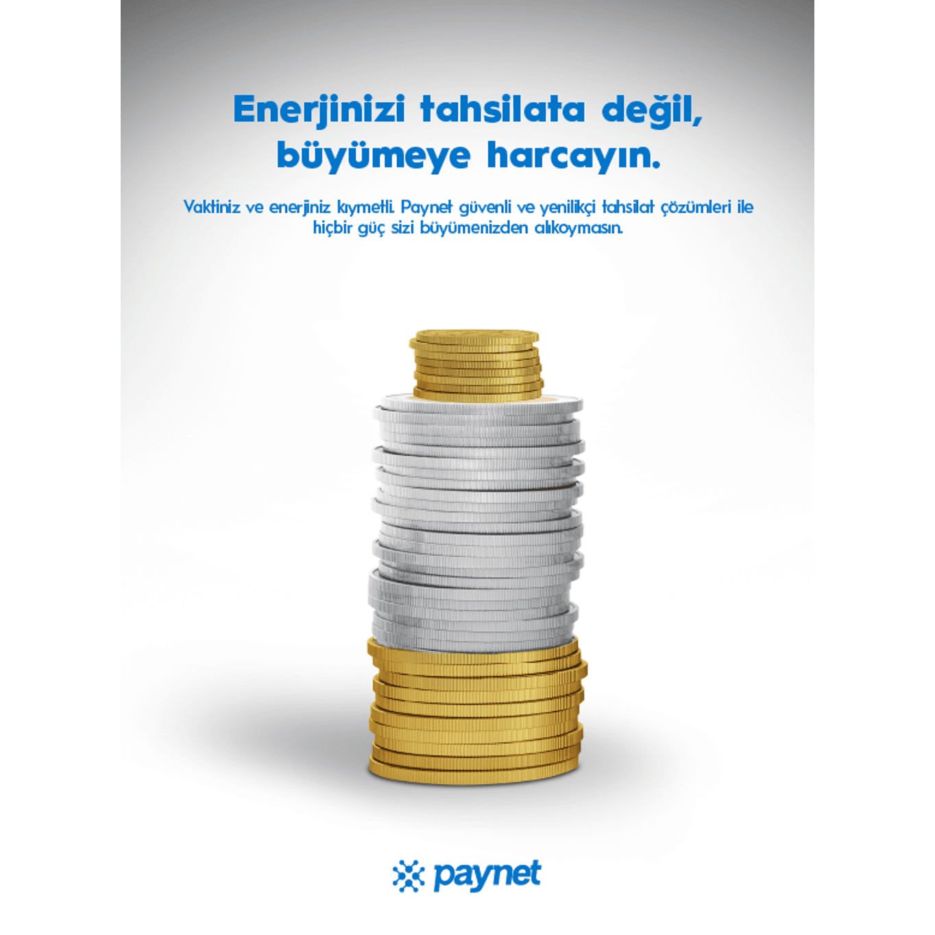 Paynet project visual 1